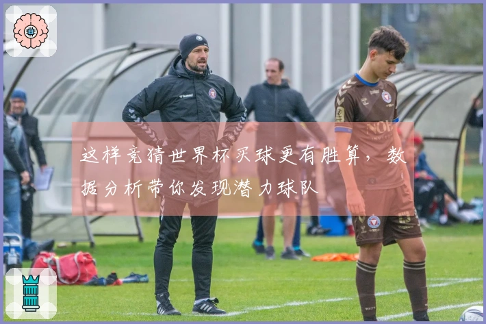这样竞猜世界杯买球更有胜算，数据分析带你发现潜力球队