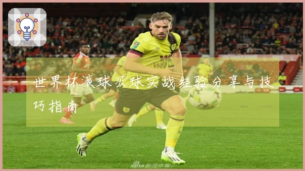 世界杯滚球买球实战经验分享与技巧指南