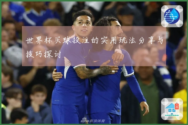 世界杯买球投注的实用玩法分享与技巧探讨