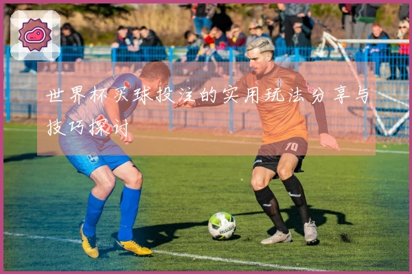 世界杯买球投注的实用玩法分享与技巧探讨