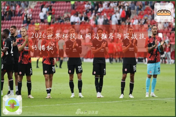 2026世界杯投注网站推荐与实战技巧揭秘
